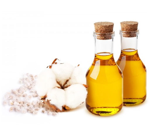 wholesale organic cottonseed oil suppliers in united states
